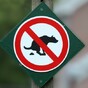 Paris town uses CCTV cameras to catch people who don't clean up after their dog