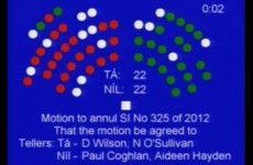 Seanad votes No on annulling transplant legislation