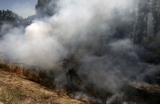 Forest fires on holiday island of Majorca forces people to flee