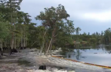 Underwater sinkhole suddenly swallows a dozen trees