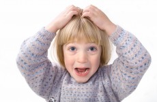 Parents urged to check children for head lice in the coming weeks