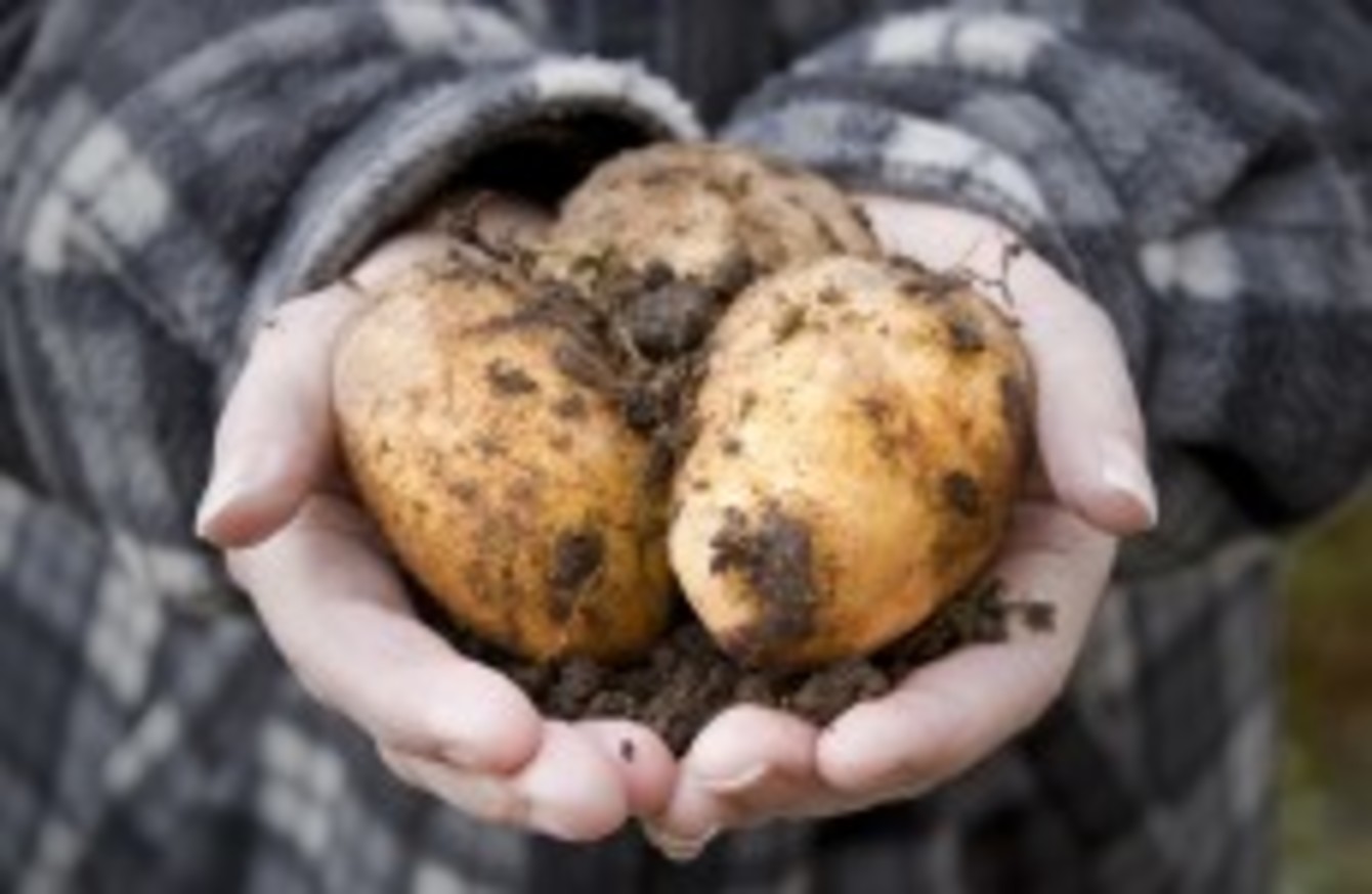 Ведро картофеля Shutterstock