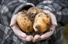 Happy National Potato Day! Here are 7 interesting facts about the humble spud
