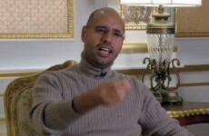 Gaddafi's son says Libya funded "clown" Sarkozy's presidential campaign