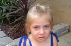 Little girl loses her lizard 'best friend', appeals to internet for help