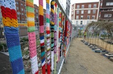 Pics: Dublin's 'pop-up' inner-city park opens its gates