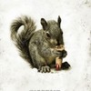 Is this Squirrel movie the new Sharknado?