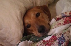 How often do you change you sheets?