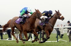 The Winners' Enclosure: Irish raiders flaunt their six appeal