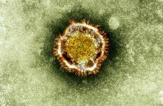 Saudi man dies of MERS virus, bringing death toll to 41
