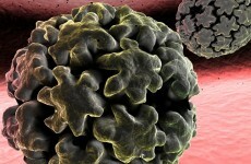HPV vaccine given to 44,000 girls - exceeding its target