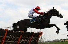 World Hurdle Preview: Big Buck’s worth every penny