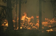 Explainer: How do wildfires happen and why do they spread?