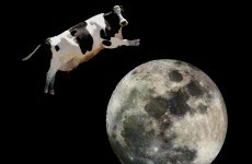 Scientists launch animal sperm bank to recreate populations on other planets