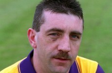 Wexford hurling legend Martin Storey to enter politics