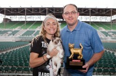 Grumpy cat wins at the Internet Cat Video Festival