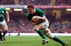 Tindall out for England as O'Driscoll talks of wrecking Slam
