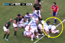 Biting claims dog Argentina after flanker is cleared of eye gouge