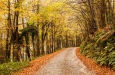 12 reasons to be excited about autumn