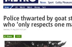 The best 'maverick goat' headline you'll ever see
