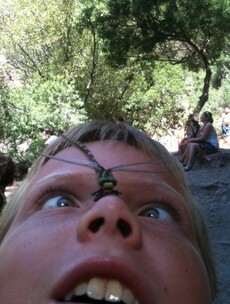 Cats, dragonflies and glaring teddies: 12 more weird pictures sent by our readers