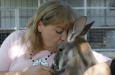 Woman moves into zoo with her pet kangaroo