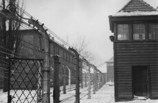 30 Auschwitz guards to face criminal probes
