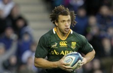 Leinster's Kirchner in line to face Folau and Cooper