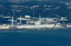 Sun, sand, surf and radiation in the shadow of Fukushima