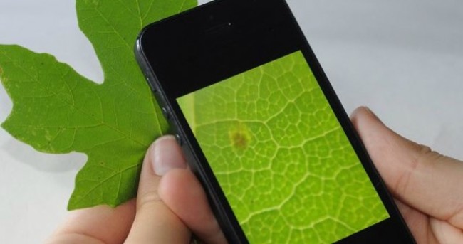 Weird Wide Web: There's a Netflix for books and your phone can be a microscope