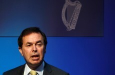 Gardaí developing online vetting process to cut wait times