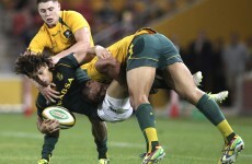 Read inspires All Blacks to hard-fought win, Springboks down Wallabies