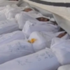 US senators release graphic videos of Syrian chemical weapons victims