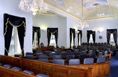 121 candidates in the running for 43 Seanad panel seats