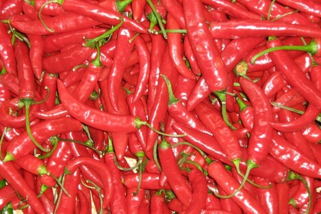 Not the actual chillis the man was found among.