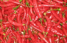 Drunk man tries to smuggle himself into US in truckload of red chillis
