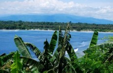 Nearly a quarter of Asian Pacific men have raped a woman