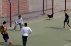 Dog left wide open at far post, inevitably scores