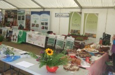 Pop-up community festival brings organic food to Dublin city today
