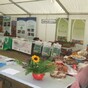 Pop-up community festival brings organic food to Dublin city today