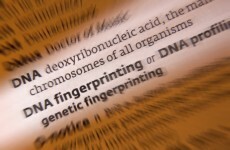 Poll: Is a DNA database a good idea?