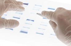Serious criminals will have DNA logged on international database