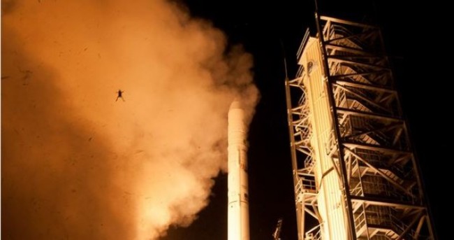 Frog photobombs NASA rocket lift-off