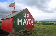 Mayo fan 'will sell sheep for All-Ireland final ticket'