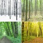 Debunked: Does Earth's distance from the Sun cause our seasons?