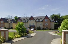 Man arrested, sawn-off shotguns and drugs seized in Laois raid