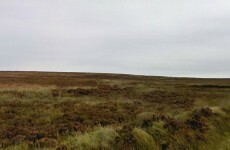 Human remains found in Dublin Mountains