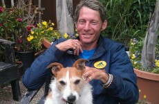 Irish showjumping mourns the loss of two fierce competitors