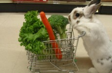 7 shopping experiences certain to make you sweat