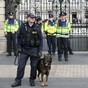Two hospitalised after gardaí use pepper spray during Dublin protests